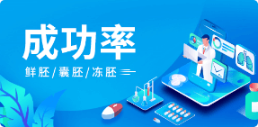 貝貝殼-成功率